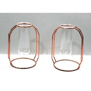 Glass Metal Tube Vase Stand Flower Pot Hydroponic Plant Home Garden Decor Lot 2